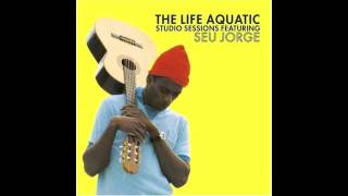 Seu Jorge  Rebel Rebel [upl. by Ydassac]