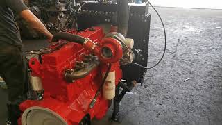 83 Cummins 6CT 214Hp [upl. by Bergquist]