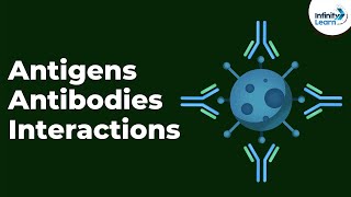 Antigens Antibodies and Interactions  Immunity  Dont Memorise [upl. by Ycul]