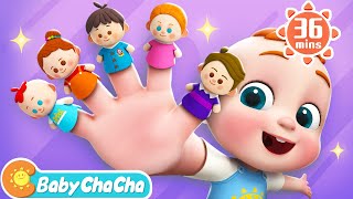 The Finger Family Song  Daddy Finger Where Are You  More Baby ChaCha Nursery Rhymes amp Kids Songs [upl. by Jada591]