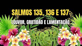 Salmos 135 136 e 137 Louvor Gratidão e Lamentação [upl. by Sylvester]