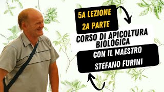 15  CORSO DI APICOLTURA BIOLOGICA  Asphodel Honey  con il maestro Stefano Furini Lezione 5 Parte2 [upl. by Noryv468]