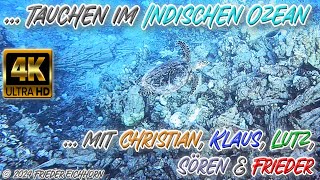 Tauchen im Indischen Ozean 🐢 🐬 🐡 … [upl. by Rhianna]