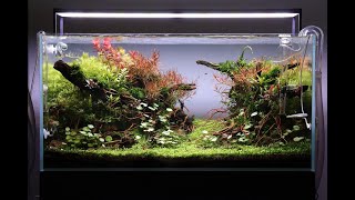 Aquascape Tutorial Step by Step 90cm Planted Aquarium [upl. by Yawnoc]