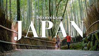 2 Weeks in Japan  Full Travel Itinerary amp Cost Breakdown [upl. by Fasano]