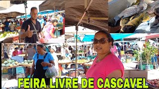 FEIRA LIVRE DE CASCAVEL IBICOARA [upl. by Naujik]