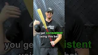 Aluminum Vs Wood Bat  What Should I Train With [upl. by Rebel]