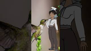 Interesting fact about hummingbirds you should know didyouknow funfacteveryday animation avatar [upl. by Ynatsed]