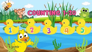 Counting 1 to 20 with Little Ducks  Fun Duck Counting Song for Kids [upl. by Isaac712]