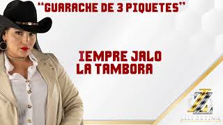 Lili Zetina  Guarache de 3 piquetes Video Lyric [upl. by Rooker985]