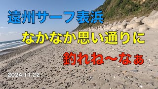 【サーフヒラメ】遠州サーフ表浜西エリアの様子を見てきた 20241122 [upl. by Isadora]