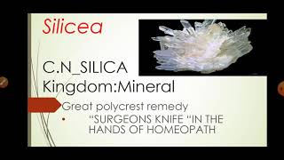 SILICEA HOMEOPATHIC REMEDYcomplete drug picture [upl. by Trebron]