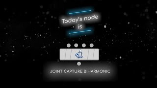 Mardini 2024  Day 19  Joint Capture Biharmonic [upl. by Niawd]