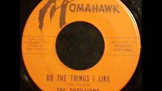 Cotillions Do The Things I Like Tomahawk 6965 45 spin [upl. by Annovaj]