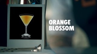 ORANGE BLOSSOM DRINK RECIPE  HOW TO MIX [upl. by Led747]