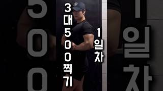 3대 400 헬린이가 3대500을 찍는데 얼마나 걸릴까 [upl. by Neehahs]