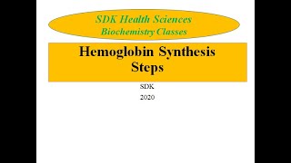 Hemoglobin Synthesis Porphyrin Synthesis [upl. by Squier]