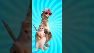 comedy funny viralvideo cat dance 🎵🎵🎵 [upl. by Yrak276]