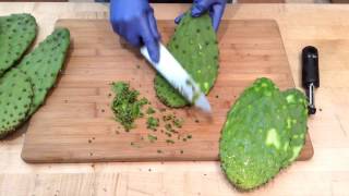 How to Prepare Nopales Cactus Pads  Sunset [upl. by Neddie]