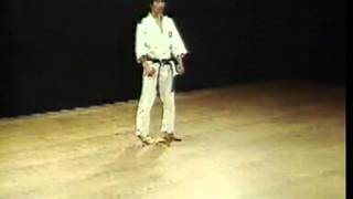 Heian GodanHirokazu KanazawaKata Shotokan SKIF [upl. by Monro863]