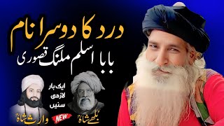 Heer Waris Shah Kalam  Bulleh Shah Kalam  Punjabi Kalam  Sufiana Kalam  Baba Aslam Malang Kasuri [upl. by Aline]