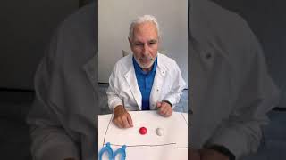 How to take an impression for a Denture Repair [upl. by Mauceri]