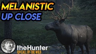 How To Stalk a MELANISTIC Caribou TheHunter Call of the Wild 2019 [upl. by Anits]