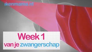 1 week zwanger Bekijk symptomen informatie over de echo en je kindje en je lichaam  ikenmamanl [upl. by Marlin]