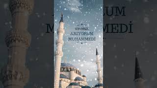 ARIYORUM MUHAMMEDİ SAV ilahiler [upl. by Mharba]