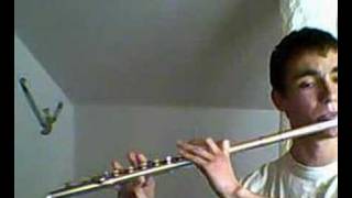 Dvorak  Slavonic Dance no 2 op 72  flute [upl. by Rehpinnej]