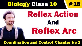 What is reflex action and reflex arc class 10 [upl. by Anella]