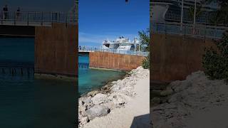 zipline on cococay wonderoftheseas freedomoftheseas bahamas royalcaribbean ncl msc carnival [upl. by Nednal111]