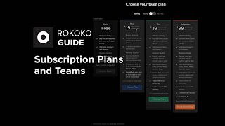 Rokoko Guide Subscription Plans and Teams explained [upl. by Skantze963]