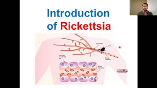 Introduction to Rickettsia  Classification of Rickettsia  Prokaryotes  Examples [upl. by Witcher]