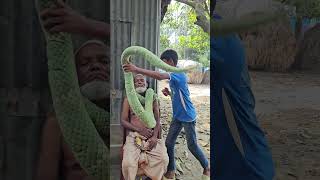 Viral Most King Cobra Snake Prank With Crazy Reaction  Sagor Bhuyan [upl. by Ellesirg]