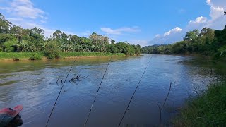 Ada hasil bukan ikan target  ulu jelai kuala lipis pahang wms295 [upl. by Izaak551]