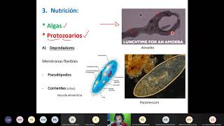 Tutoría Capítulos 21 22 y 23 [upl. by Ahaelam]