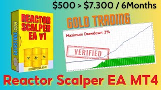 Reactor Scalper EA MT4 Setting and Review  FX STORE EA [upl. by Stedman]