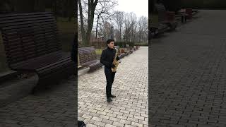 Come Vorrei Ricchi e Poveri  Saxophone cover by Peter Grigorian 🎷 [upl. by Fraze]