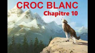 Croc Blanc  Livre Audio 🔈  chapitre 10  La servitude [upl. by Larochelle]