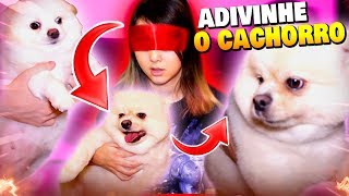 Adivinhe o CACHORRO  TAG  CASAL DE NERD [upl. by Levesque656]