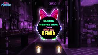 Gambare Gambare Senpai Bemax Remix Tiktok 2023 DJ抖音版 越南鼓卡点舞  Hot Tiktok Douyin [upl. by Sande189]