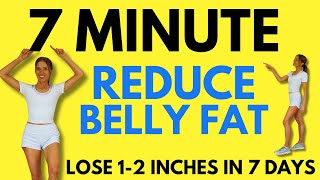 7 Minute Belly Fat Workout  7 Day Challenge  Start Today [upl. by Ytomit]