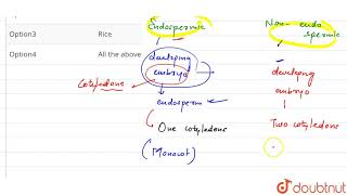 Which one is monocot albuminous seed [upl. by Nosral743]