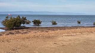 Fitzgerald Bay campground north east of Whyalla and north of Point Lowly Eyre Peninsula Australia [upl. by Elbart]