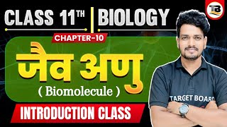 जैव अणु  Biomolecules  Biology Class 11th Chapter 10 Bihar Board  Class 11th Biology Chapter 10 [upl. by Letisha]