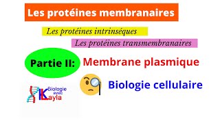 Les protéines membranaires  Les protéines intrinsèques [upl. by Enisaj]