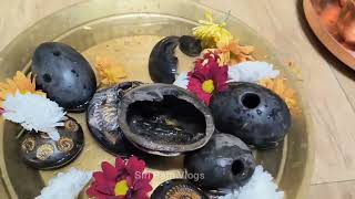 Shaligram stones [upl. by Sehguh]