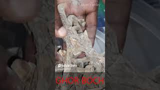 Fishing Raw Materials Ghor Boch  Sayans Today ytshorts ytshortsvideo fishing [upl. by Balling]