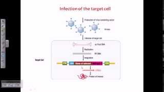 Gene therapy using adeno associated virus [upl. by Marquez295]